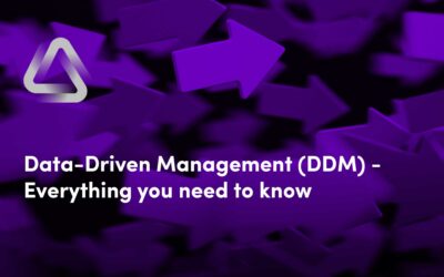 Data-Driven Management (DDM) – Everything you need to know about data-driven business