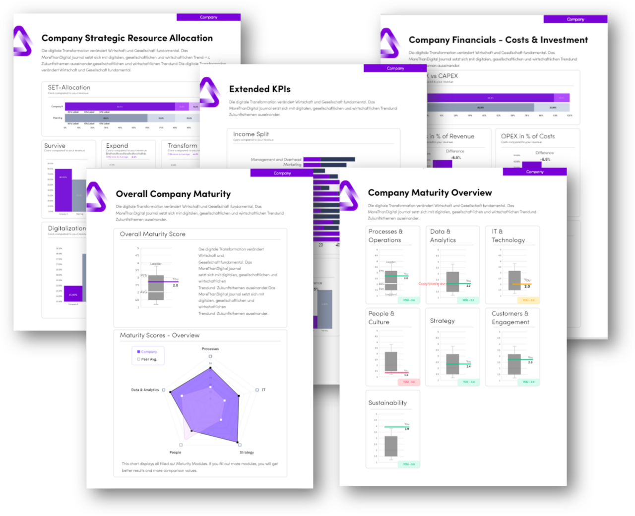 MoreThanDigital Insights | Data-Driven Strategic Planning