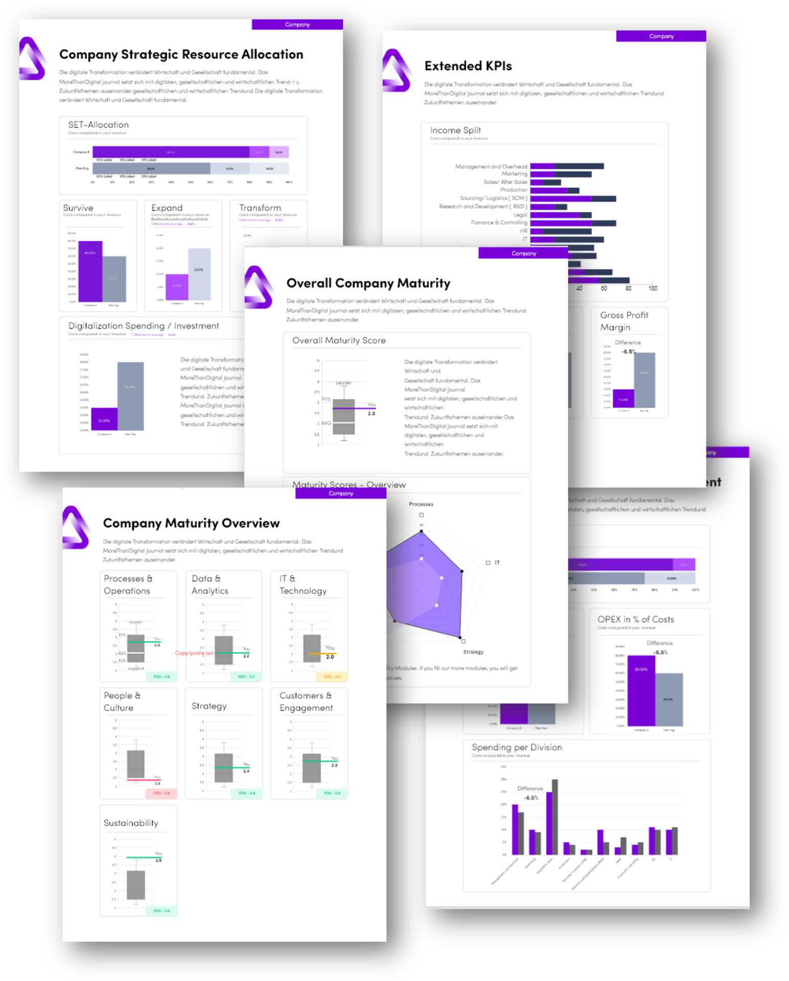 Extensive Analytics Reports for Insights-Driven and Data-Driven Decision making