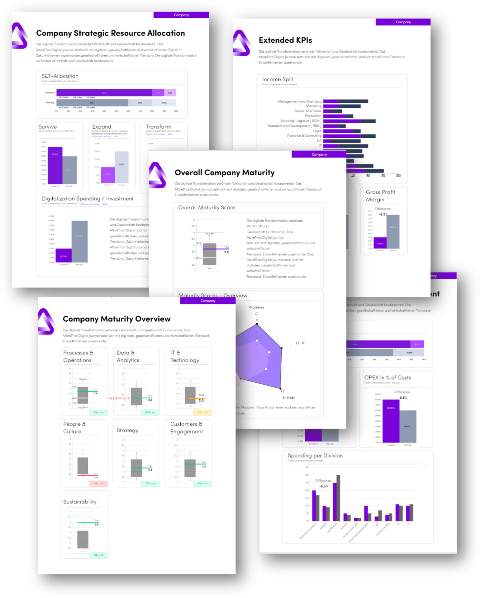 Umfassende Analyseberichte für Insights und datengestützte Entscheidungsfindung